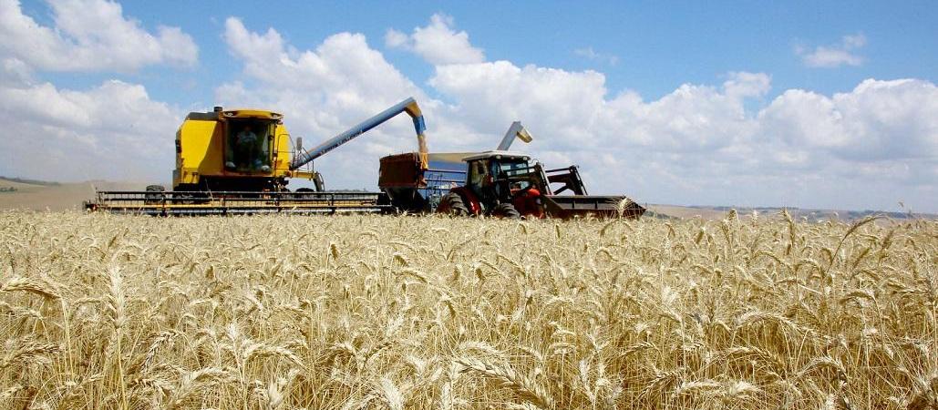 Empresa paranaense cria sistema que interpreta dados agrícolas e climáticos
