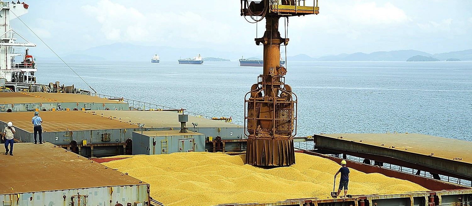 Guerra comercial entre China e Estados Unidos pode beneficiar exportação de soja no Brasil