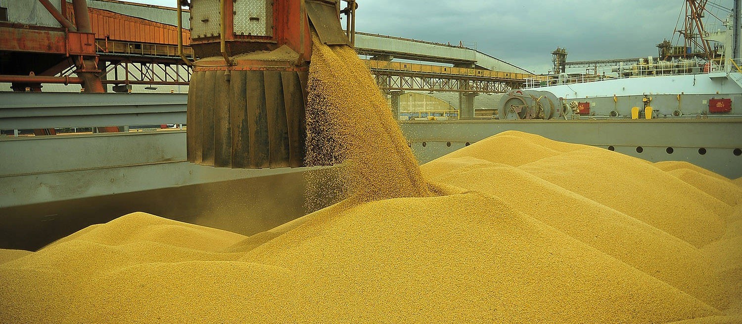 Exportação de milho do Brasil pode recuar mais de 60% em julho