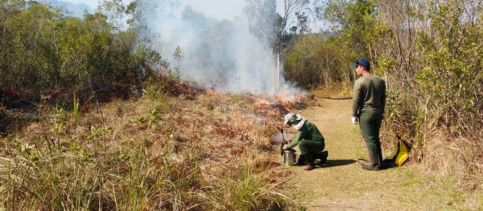 Risco de incêndios em áreas rurais coloca o Paraná em alerta