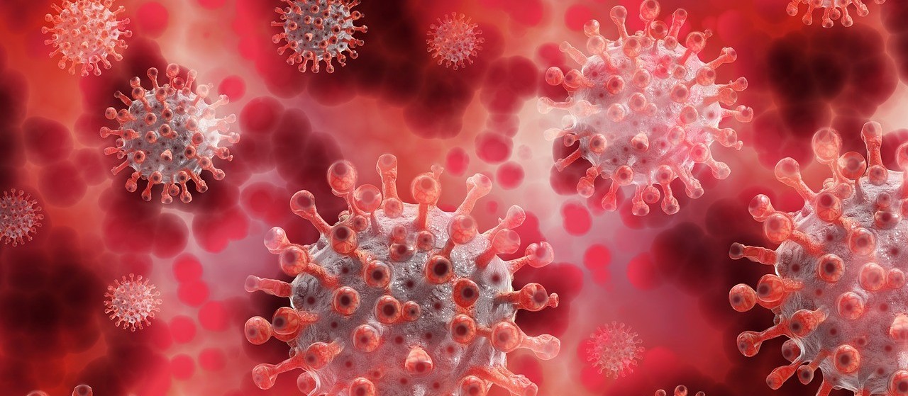 Coronavírus: Veja os dados do boletim desta quarta-feira (11) em Maringá