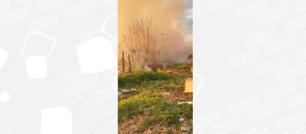 Em cinco horas, bombeiros recebem 25 chamados de incêndios ambientais