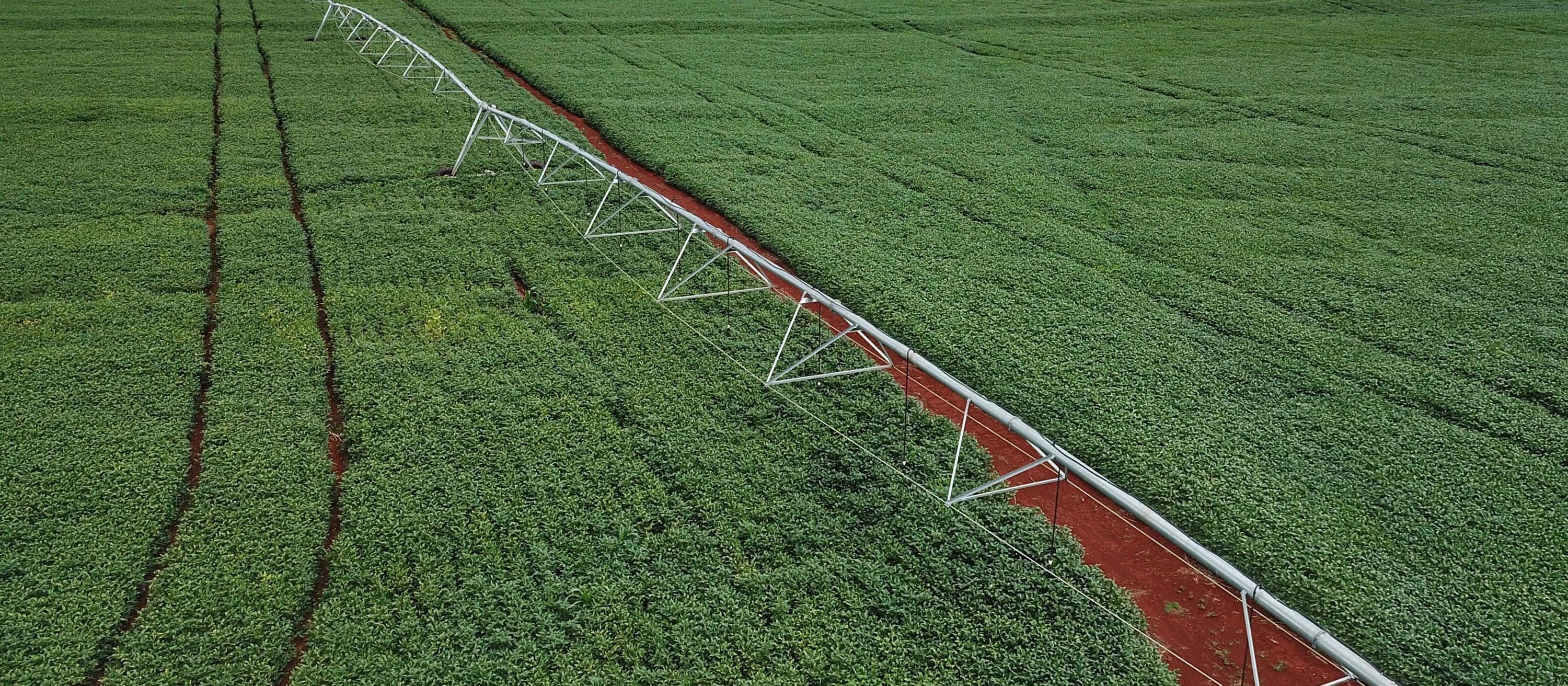Estudos apontam que área irrigada do Brasil pode crescer 4,2 hectares até 2040