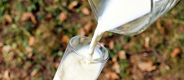 Produção de leite deve crescer este ano no país 