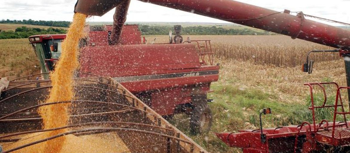 Guerra da Ucrânia eleva preços dos grãos no mercado internacional