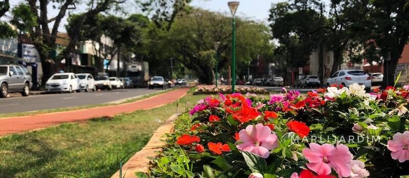 Tempo instável dá trégua e domingo será de sol e calor em Maringá