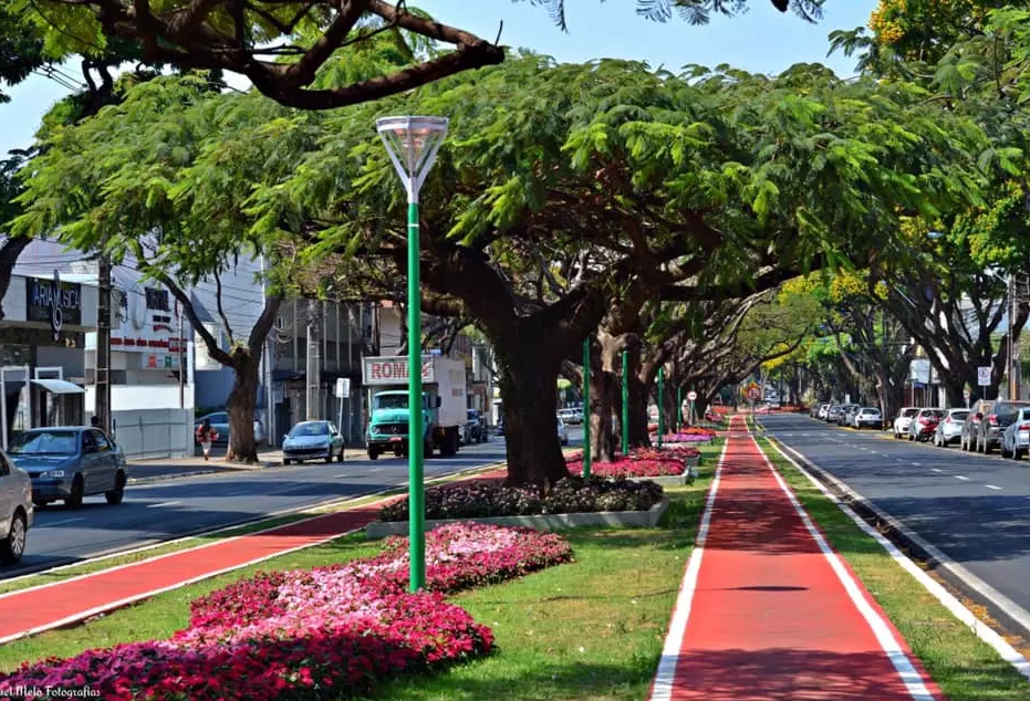 FERIADO EM MARINGÁ 15 DE AGOSTO :: STIAM