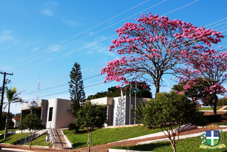 Projeto de lei reduz número de vereadores em Cruzeiro do Oeste