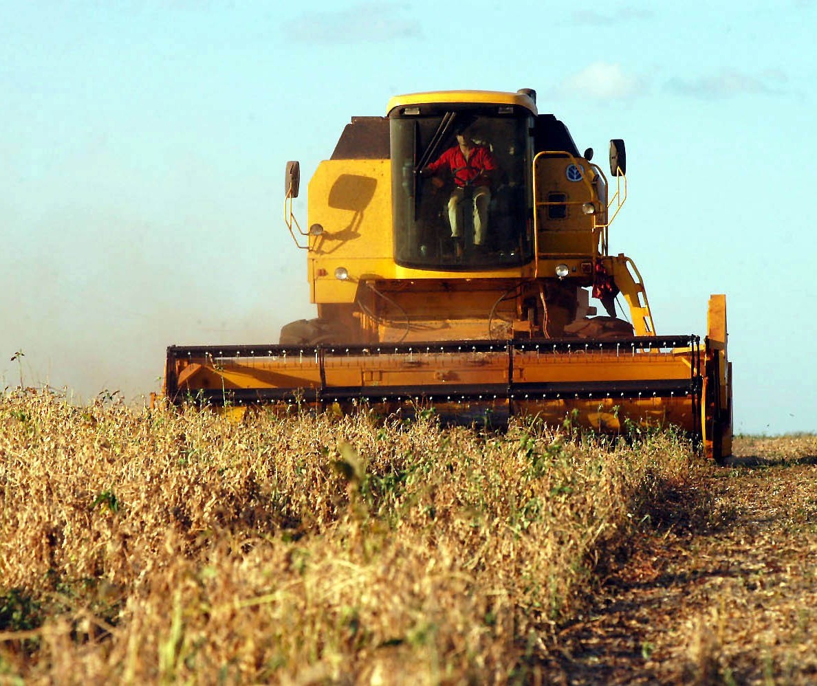 Safra da soja do Paraná deve alcançar 16,25 milhões de toneladas, projeta Deral