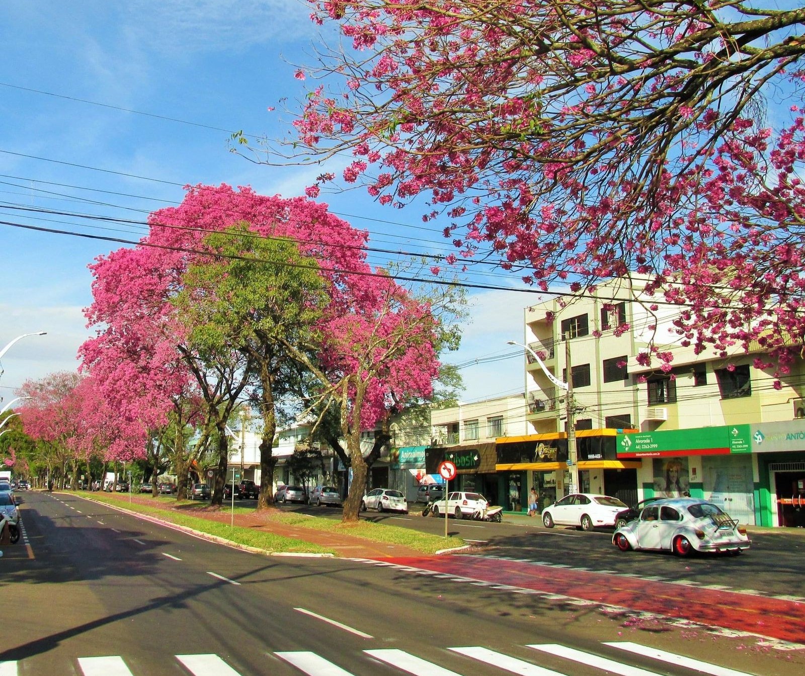 Temperaturas voltam a subir e Maringá tem máxima de 22°C nesta sexta-feira (12)