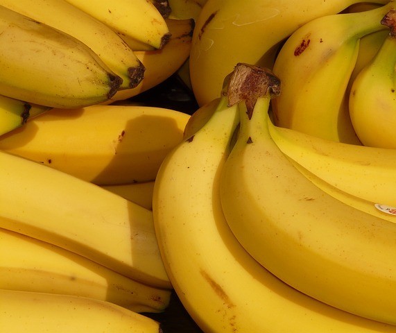 Produtores estão se mobilizando para impedir a importação de banana do Equador 