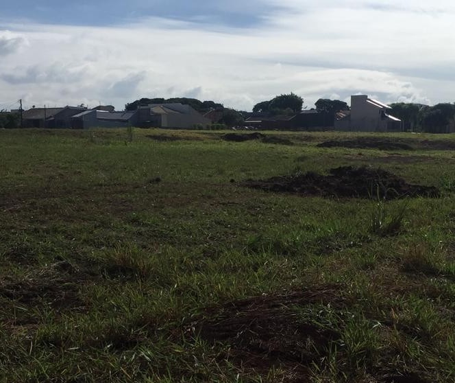 Terrenos em frente ao futuro Parque de TI estão à venda