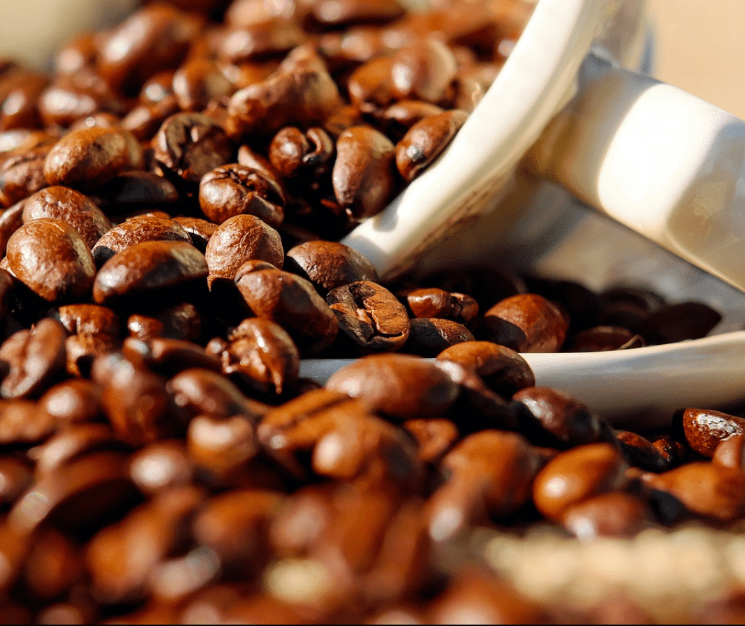 Café em coco custa R$ 6,70 kg em Jacarezinho