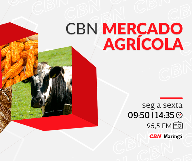 Trigo é vendido a R$ 73,00 a saca de 60 kg