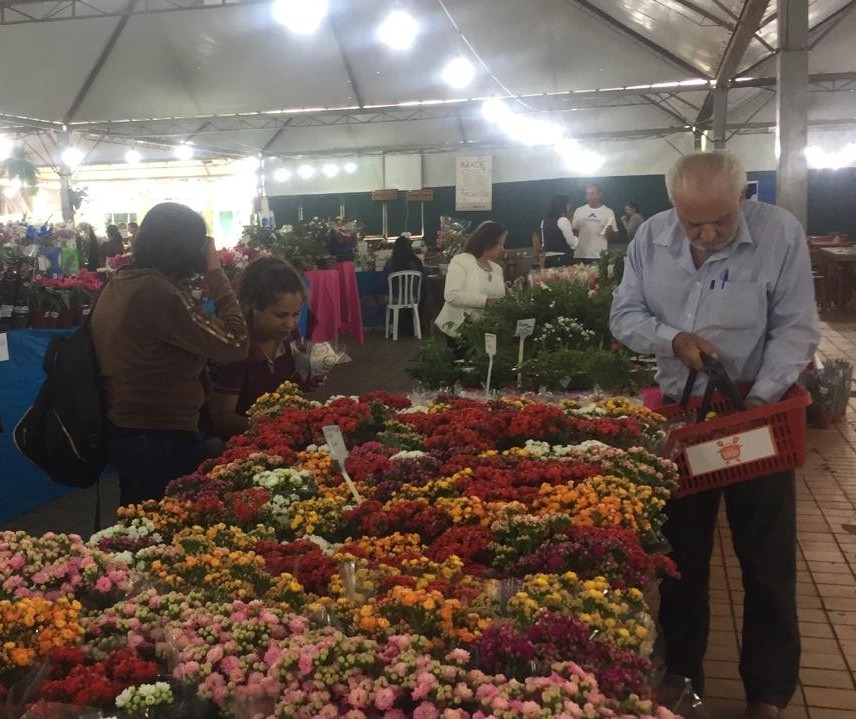 Maringaenses não resistem a Expoflor