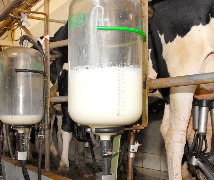 Crise do setor leiteiro pode ser um grande desestímulo 
