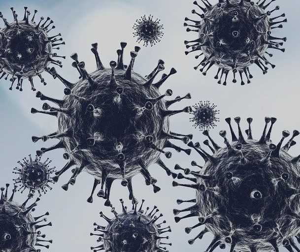 Veja o balanço de oito meses de pandemia do coronavírus em Maringá