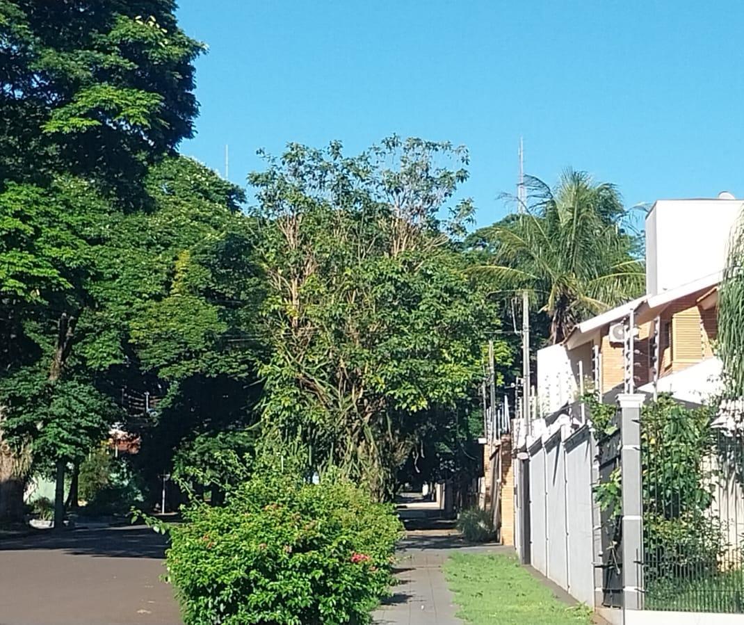 Confira o tempo e a temperatura neste domingo (5) em Maringá