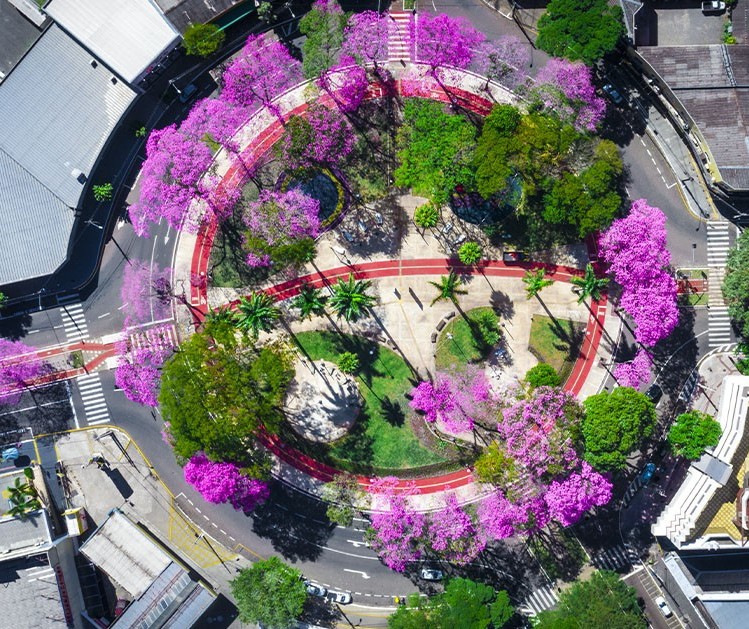 Cidade inteligente é qualificar, libertar e promover a cidadania