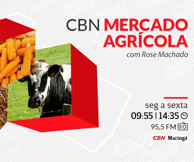 Trigo é vendido a  R$ 92 a saca em Maringá e Cascavel 