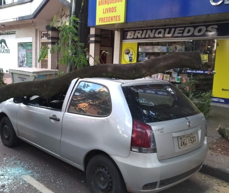 Galho cai sobre veículo em Maringá