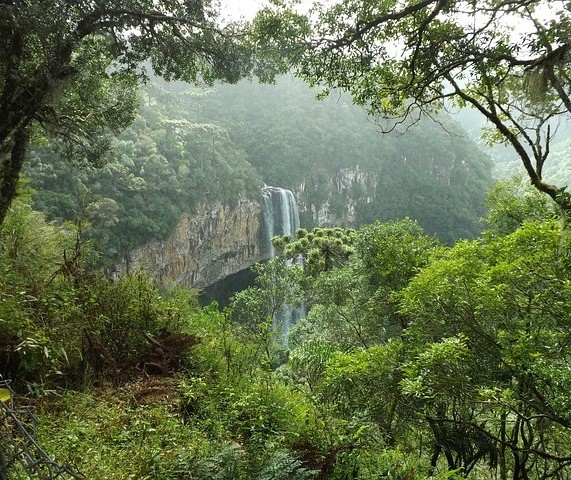 Projetos de mitigação de mudanças climáticas