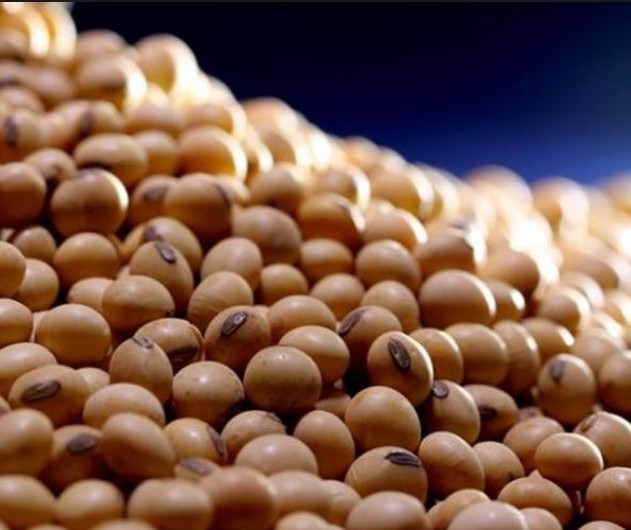 Preço médio da soja é de R$ 84 a saca nos portos do país 