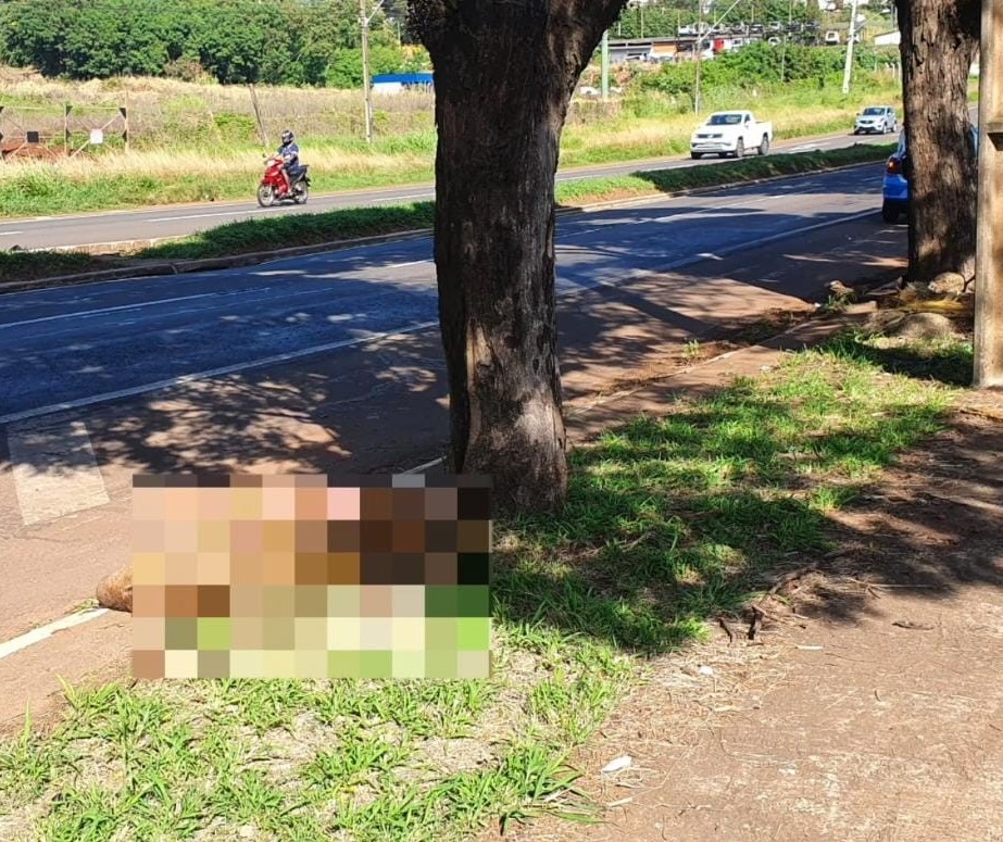 Motociclista fica ferido ao atropelar capivara na Avenida Colombo em Maringá