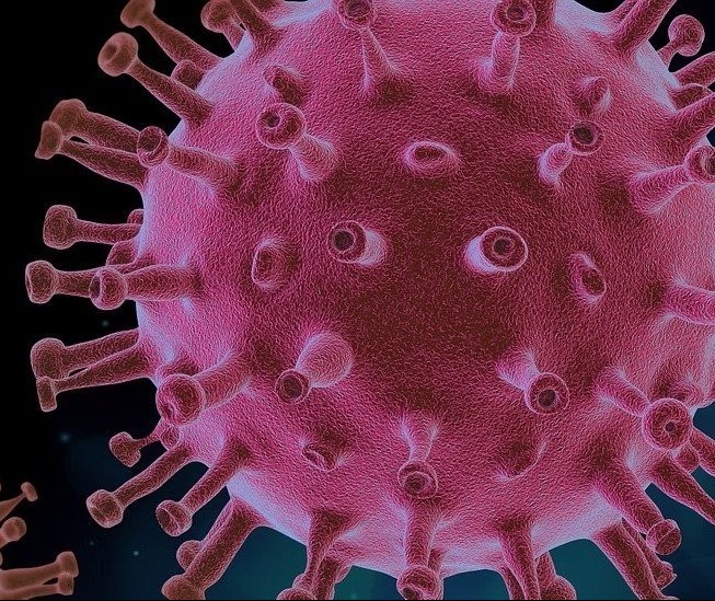 Confira os dados sobre coronavírus do boletim deste domingo (20)