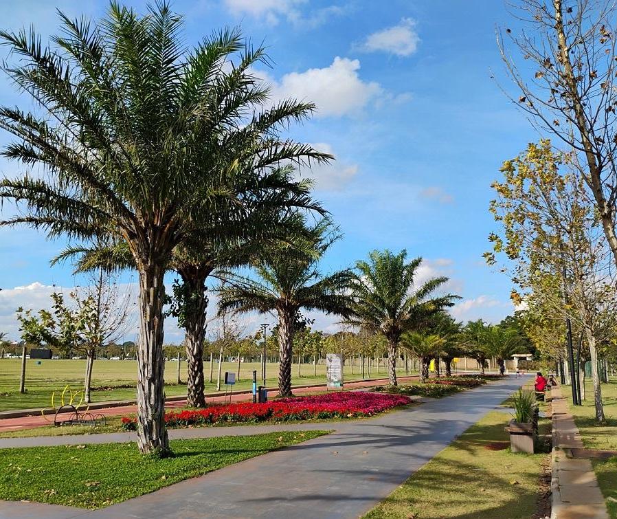 Sexta, fim de semana e início do verão: confira a previsão do tempo em Maringá e no Paraná