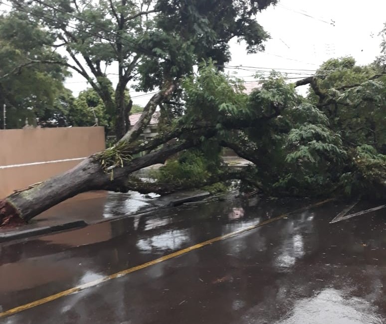  Chuva provoca pontos de alagamentos em Maringá