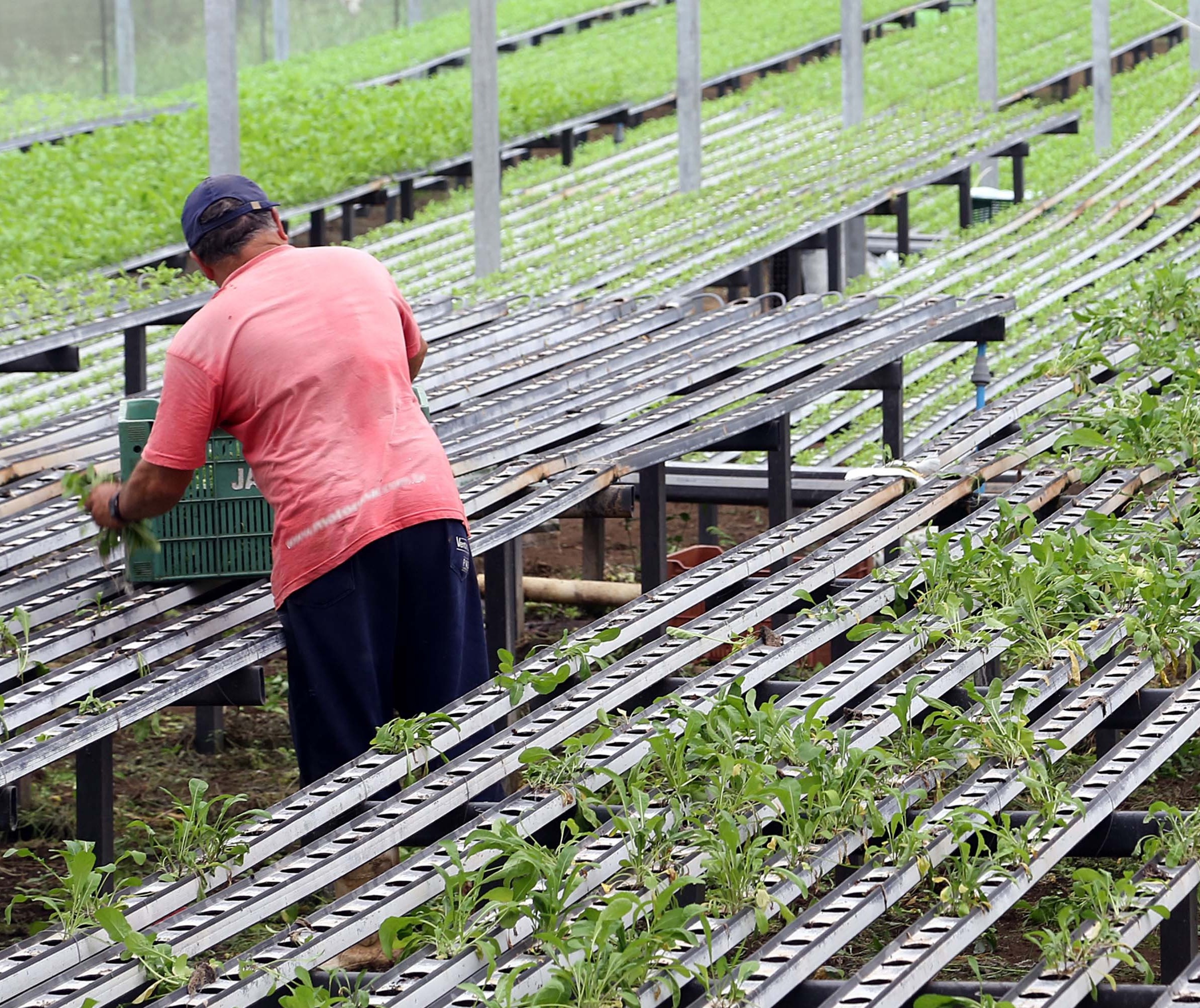 Governo estadual pede ajuda para produtores rurais paranaenses