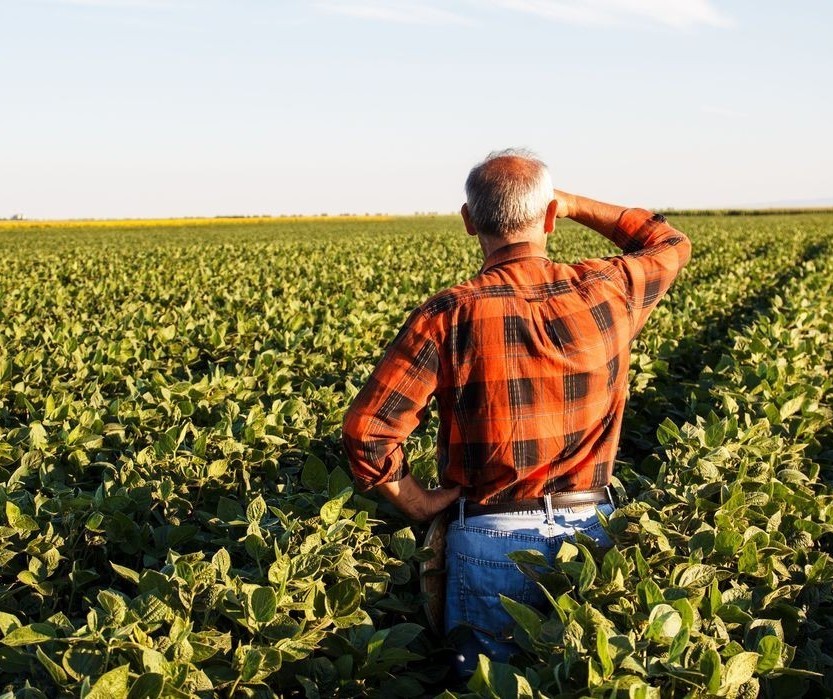No campo, produtores rurais estão cada vez mais conectados