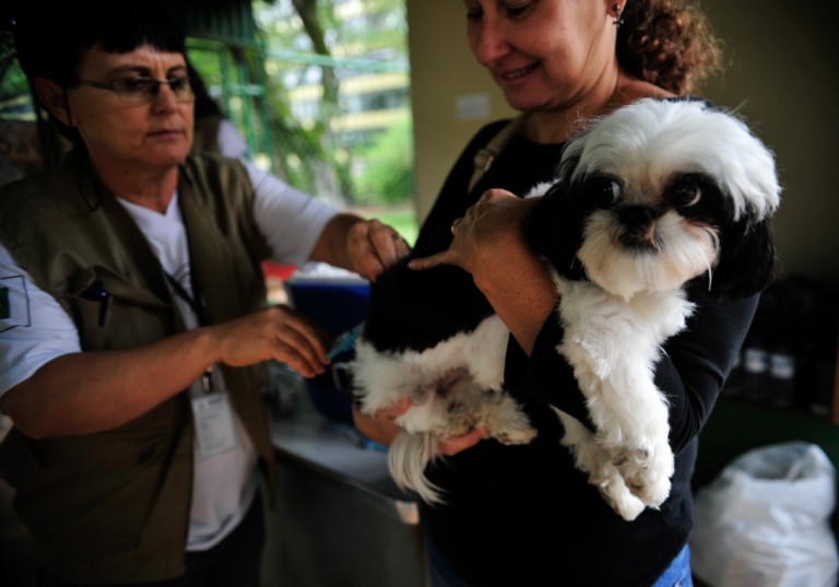 Maringá arrecada quase R$ 70 mil em multas por maus-tratos a animais