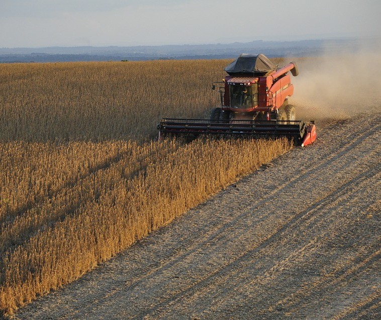 Nova estimativa prevê que a colheita da safra de soja 2018/19 será menor que a anterior