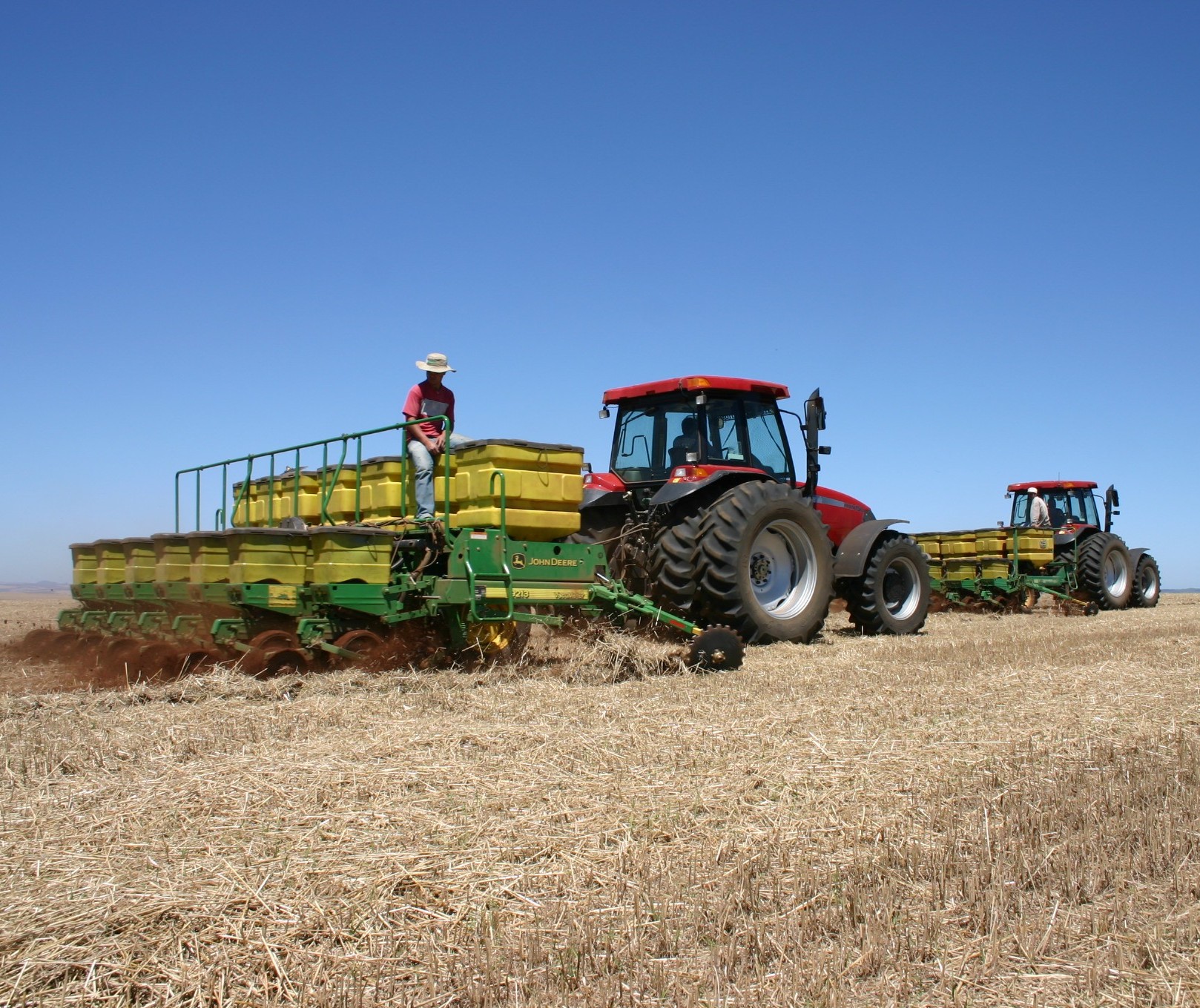 Plantio do milho no Paraná termina com áreas sem semear