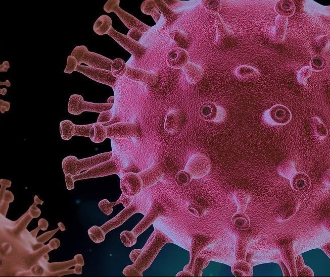 Confira os casos de coronavírus deste fim de semana 