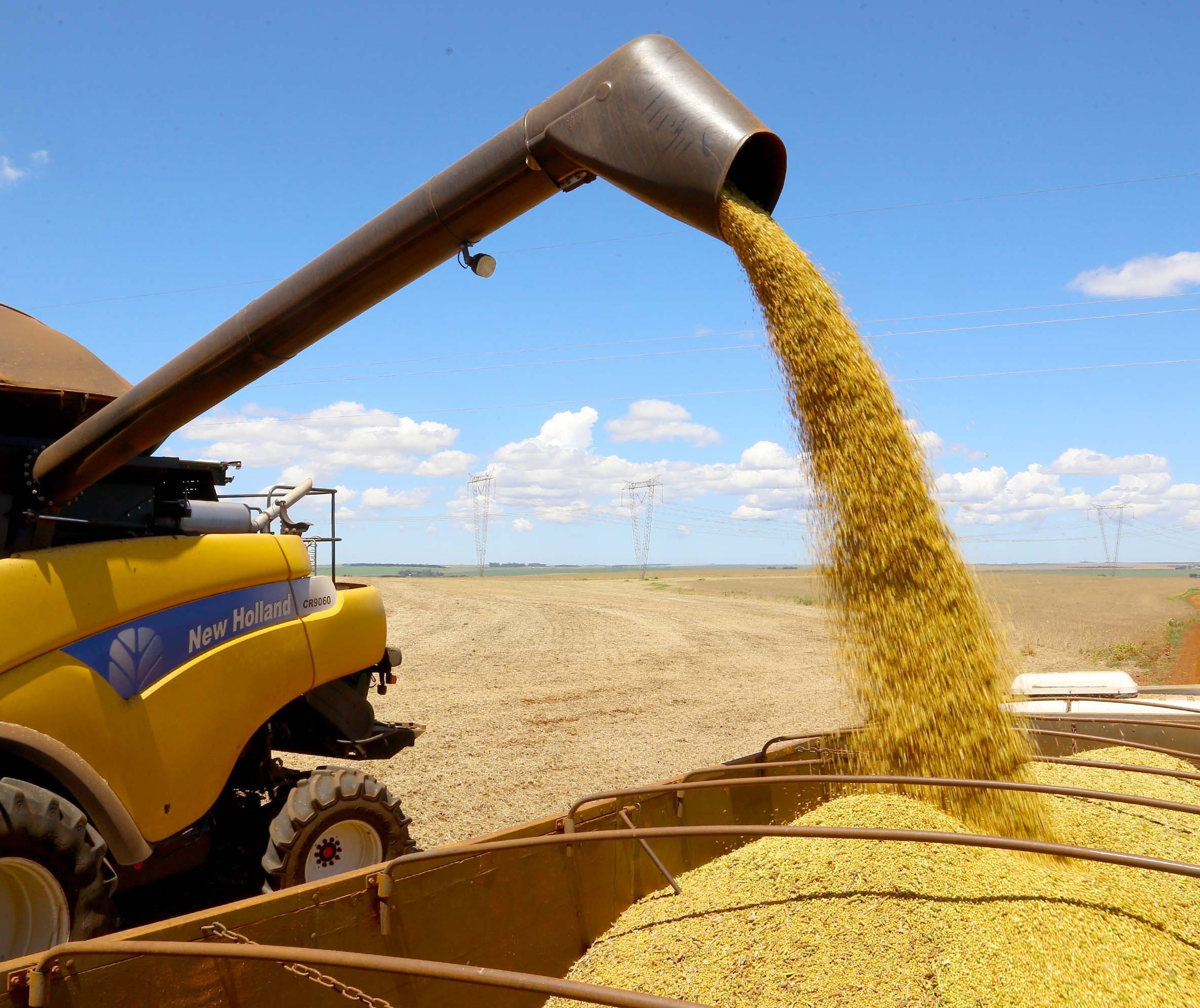 Safra de grãos deve ser 38% maior no Paraná, estima Deral