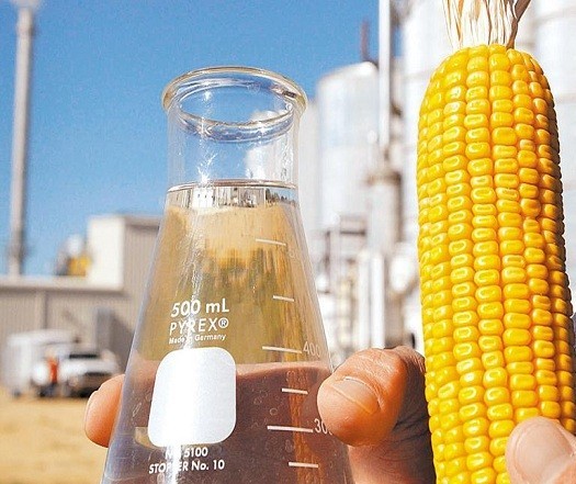  Brasil tem potencial para produzir 15 bilhões de litros de etanol a partir do milho  