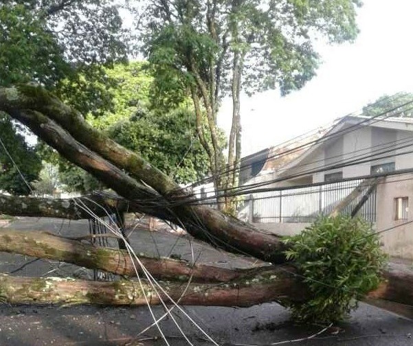 Oito postes quebraram durante o temporal em Maringá