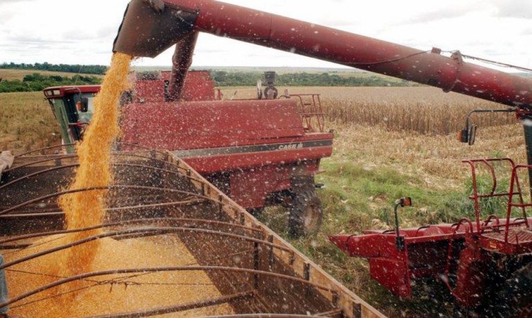 Em 5 anos, Brasil poderá se tornar o maior exportador de grãos do planeta