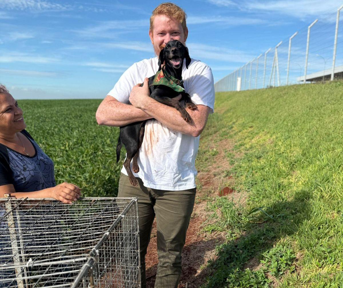 Cachorrinha desaparece após acidente em rodovia e é encontrada 22 dias depois