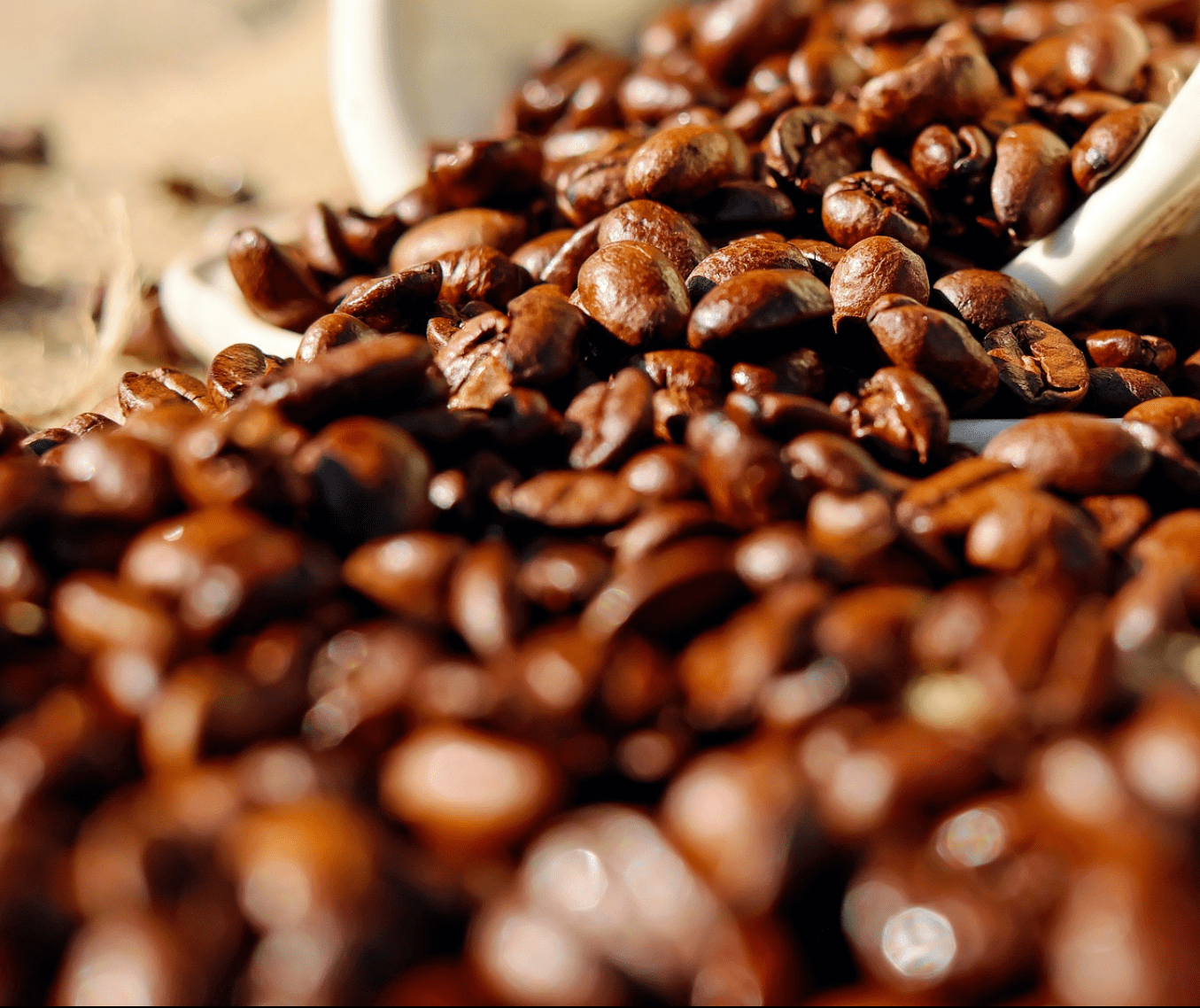 Brasil exporta 41,1 milhões de sacas de café no ano safra 2018/19 e bate recorde
