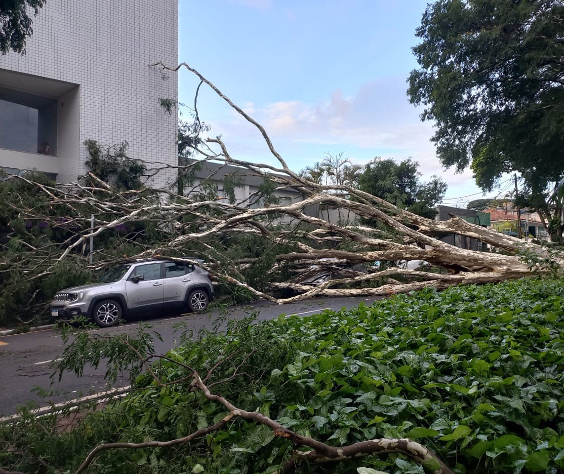 Saiba o que fazer se você teve algum prejuízo durante tempestade