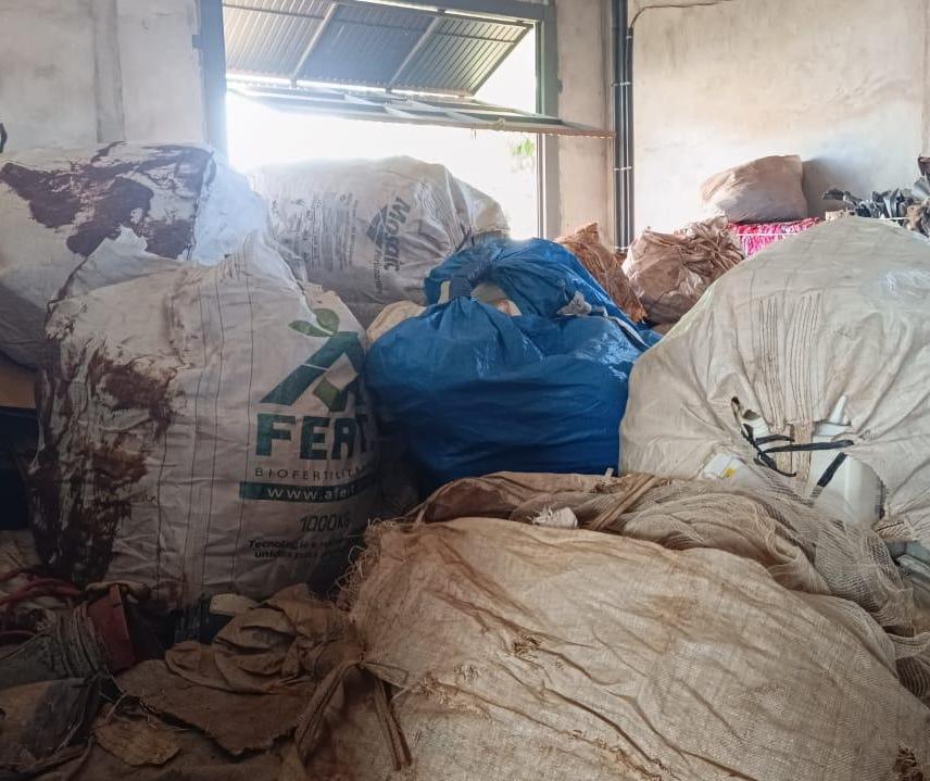 Inspeção encontra 10 mil embalagens de agrotóxicos em barracão; local foi interditado