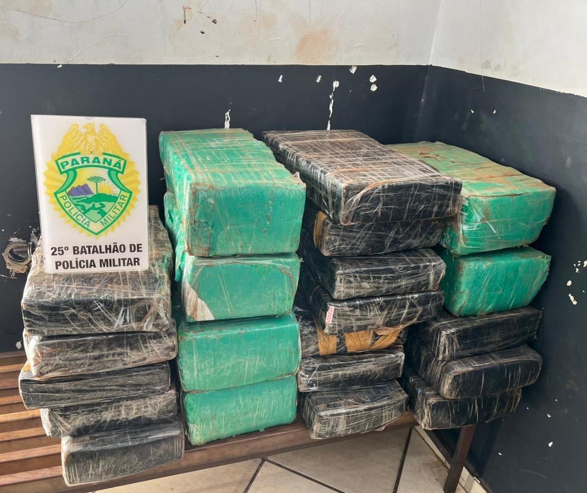 Polícia apreende 211 kg de maconha em área rural