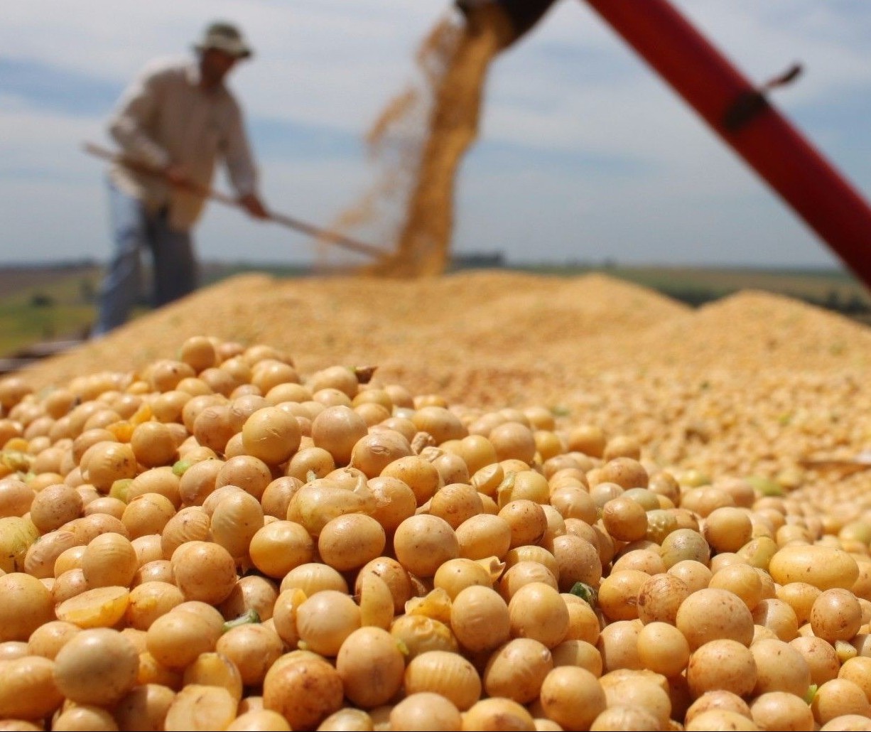 Soja custa R$ 75,50 a saca em Maringá