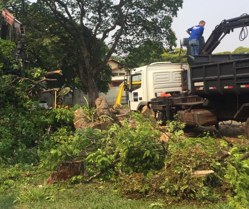 Temporal desse domingo (27) derrubou mais de 30 árvores em Maringá