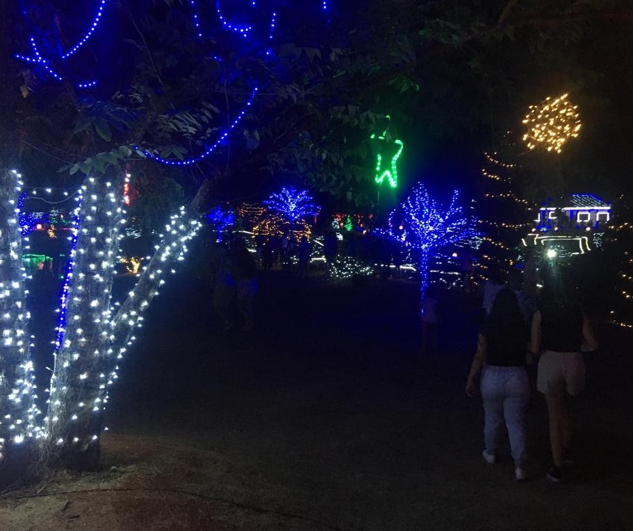 Iluminação do Parque do Japão atrai milhares de visitantes