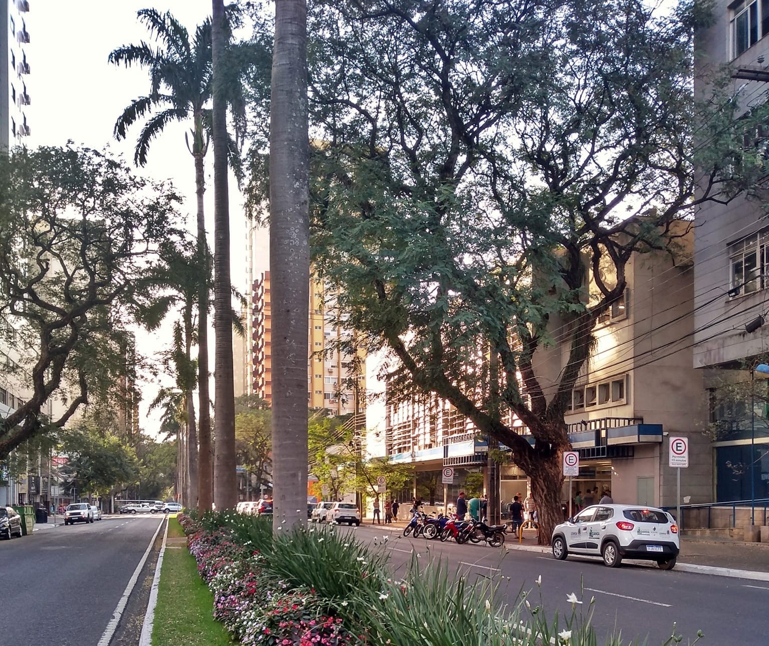 Maringá tem tempo parcialmente nublado e máxima de 24°C nesta sexta-feira (5)